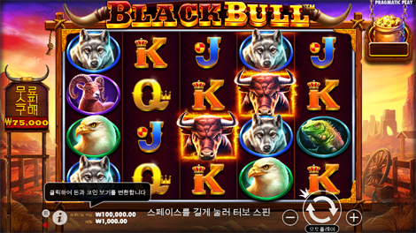 와일드 셀러브리티 버스 메가웨이즈