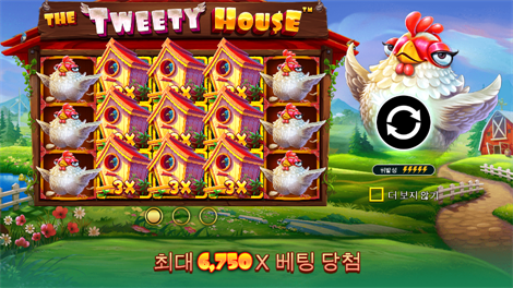 와일드 비치 파티