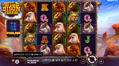 스위트 보난자 다이스