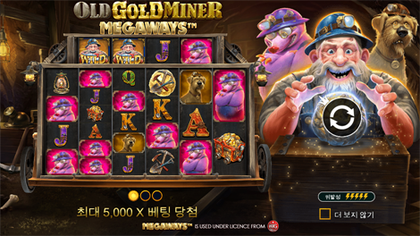 맘모스 골드 메가웨이즈