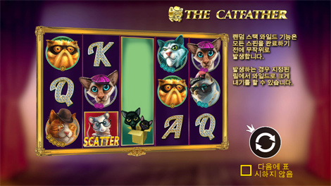 카우보이 코인스