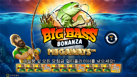 와일드 부스터