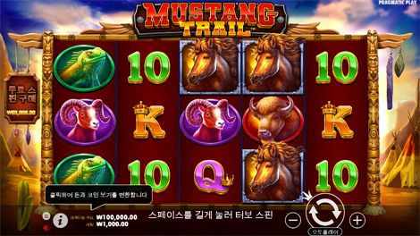 후르츠 오브 더 아마존