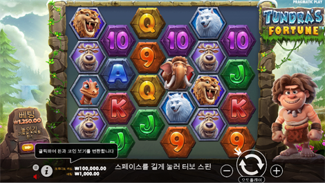 캔디 스타즈