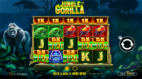 카우보이 코인스