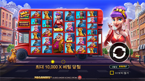 와일드 셀러브리티 버스 메가웨이즈