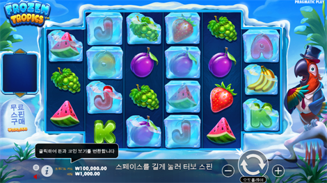 피라미드 킹