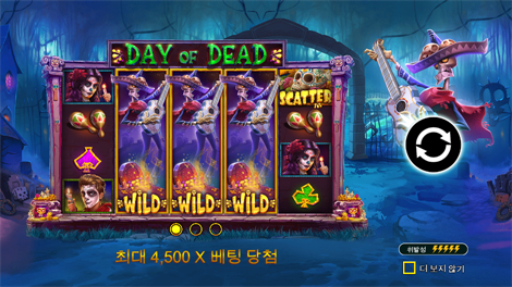 와일드 와일드 리치스