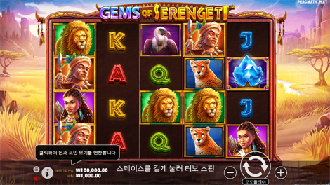 재스민 드림스