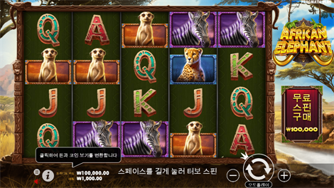스위트 보난자